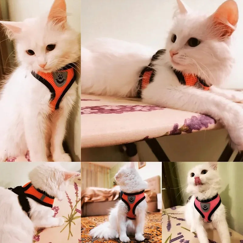 Adjustable Pet Harness & Leash Set