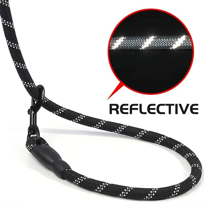 Reflective Padded Dog Leash With Comfortable Padded Handle