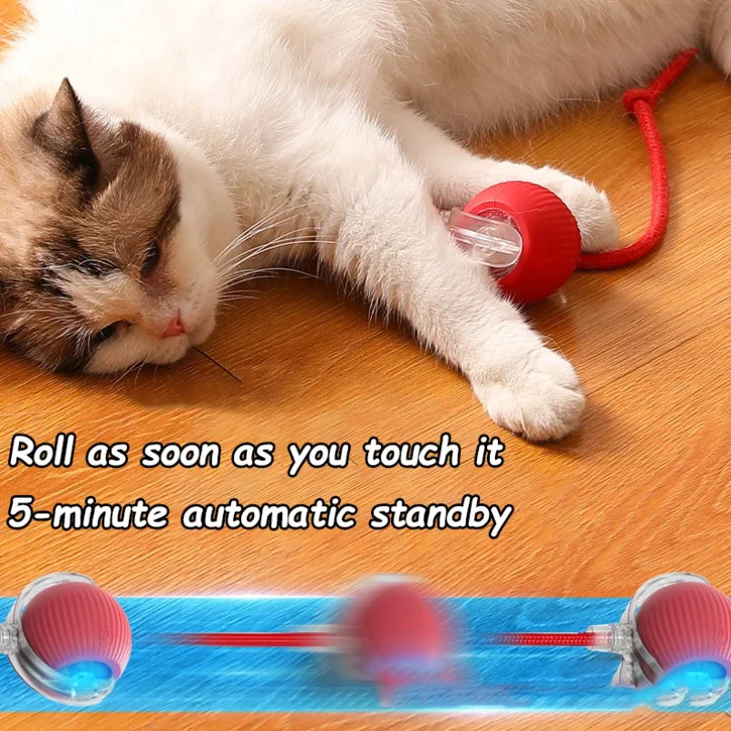 Rechargeable Interactive Cat Ball Toy