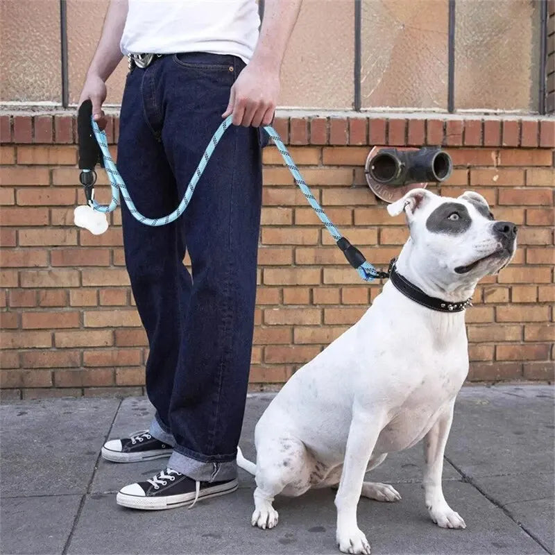 Reflective Padded Dog Leash With Comfortable Padded Handle