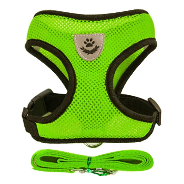 Adjustable Pet Harness & Leash Set