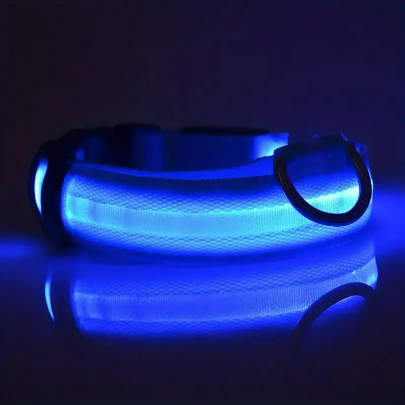 LED Night Safety Dog Leash