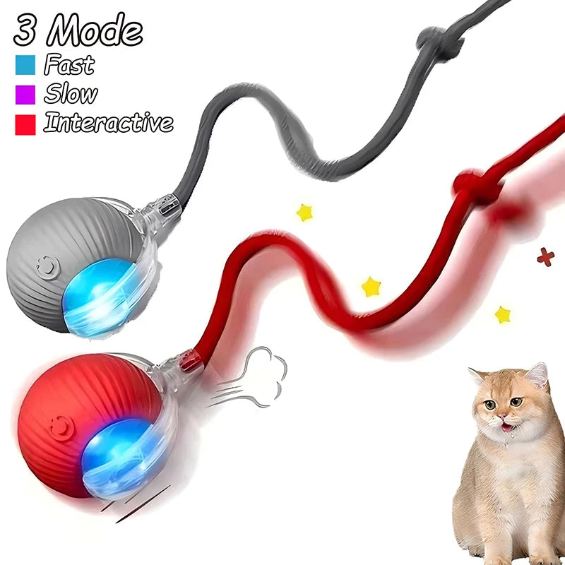 Rechargeable Interactive Cat Ball Toy