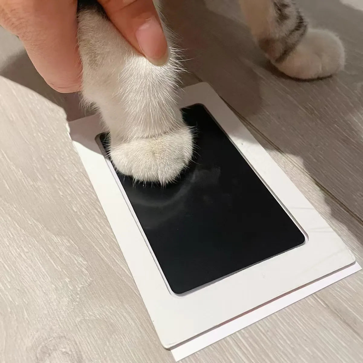 Inkless Pet Paw Print Keepsake Kit