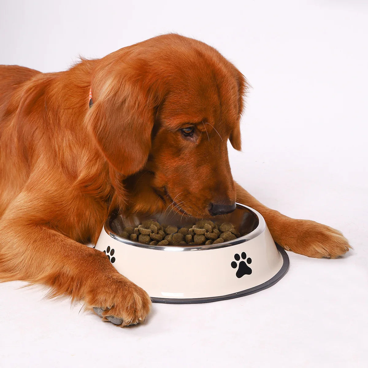 Stainless steel Non-Slip Pet Bowl