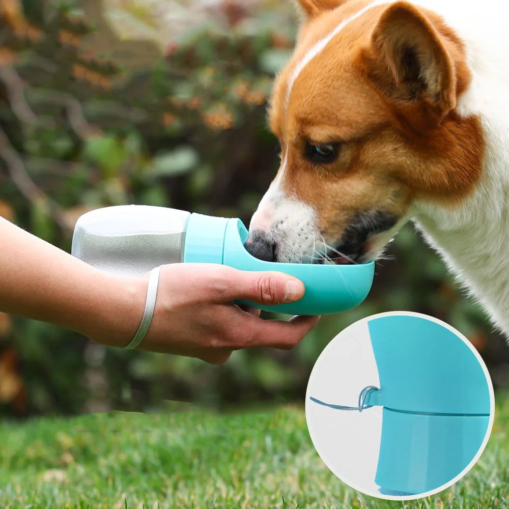 Portable Pet Water Bottle
