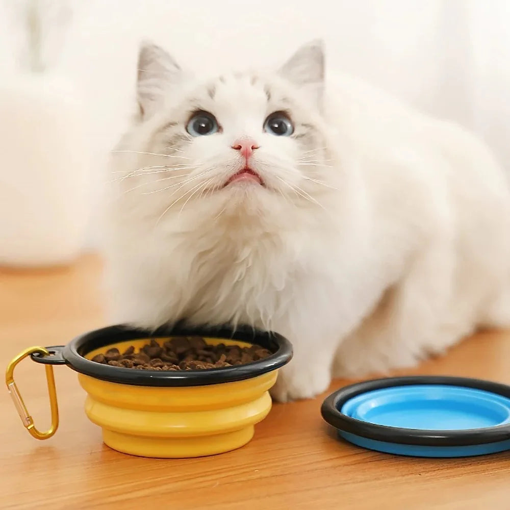 Collapsible Travel Pet Bowl