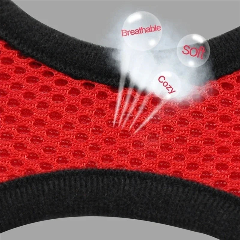 Adjustable Pet Harness & Leash Set
