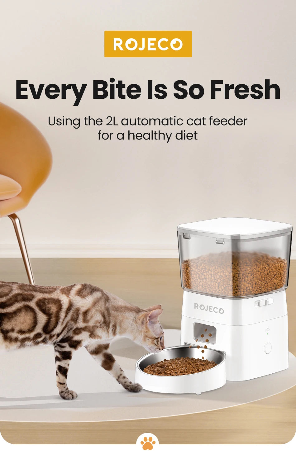 2L Smart Timed Pet Food Dispenser