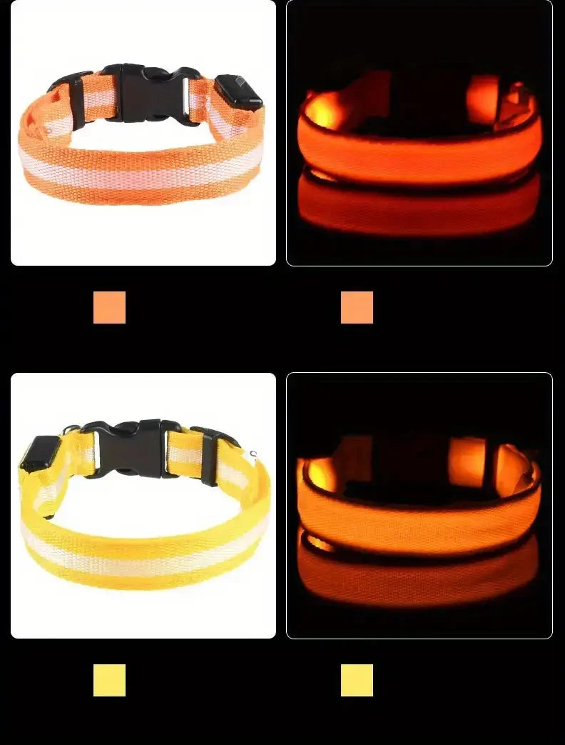 LED Night Safety Dog Leash