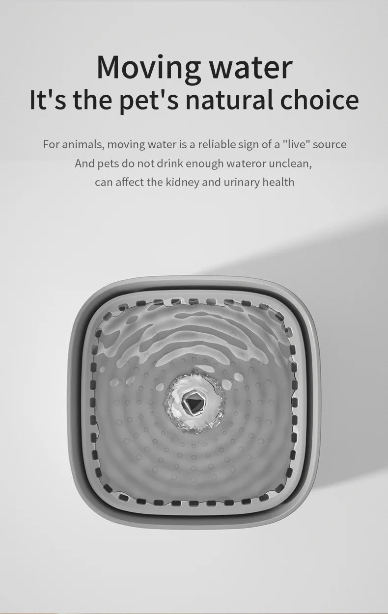 3L Pet Water Fountain