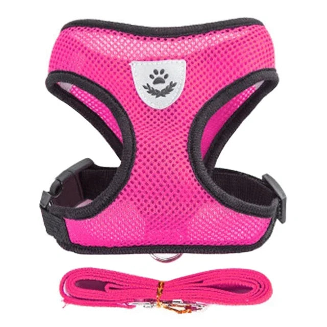 Adjustable Pet Harness & Leash Set