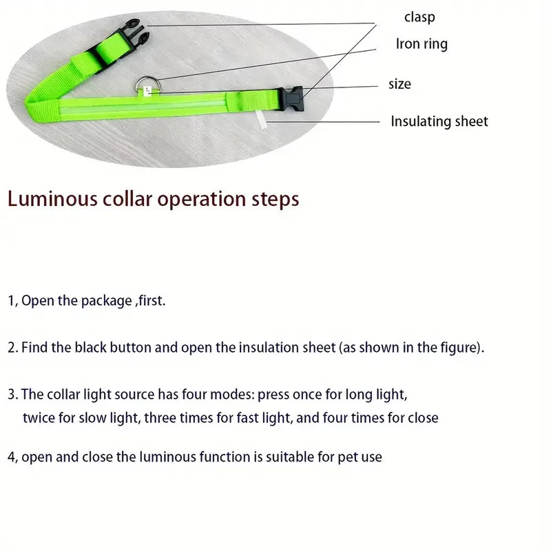 LED Night Safety Dog Leash