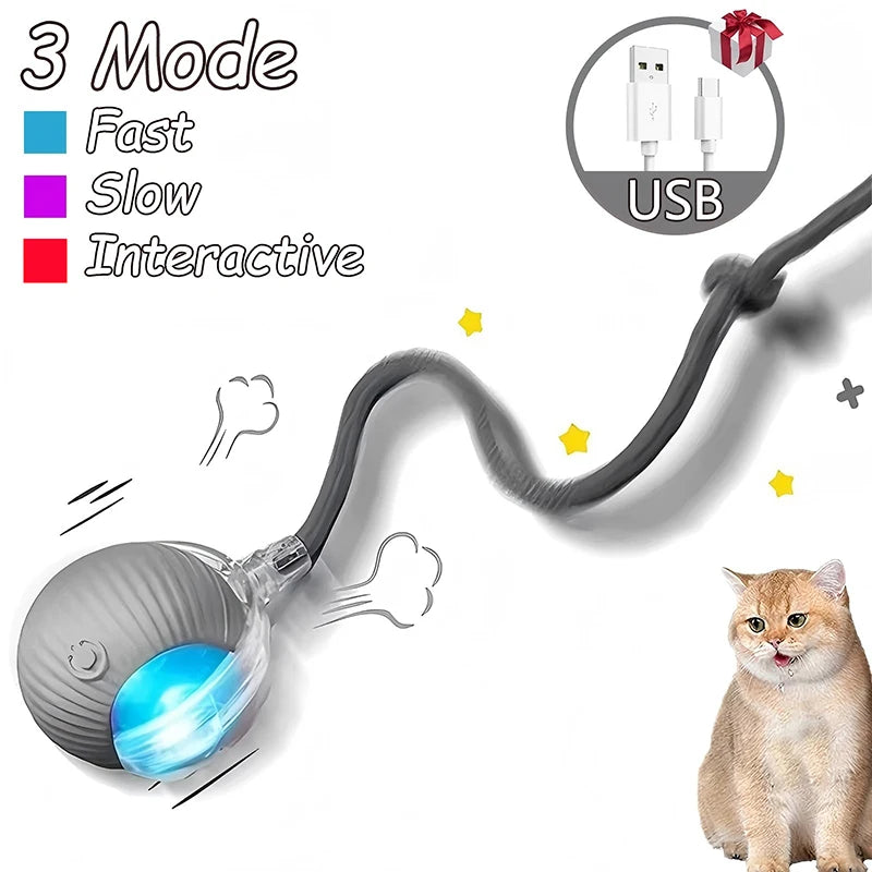 Rechargeable Interactive Cat Ball Toy