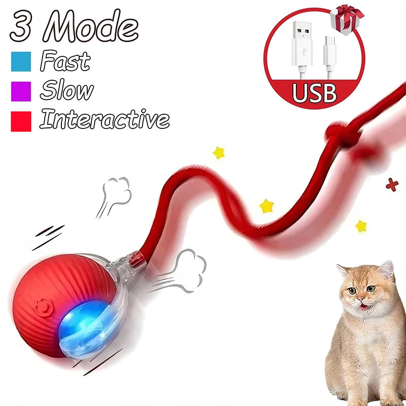 Rechargeable Interactive Cat Ball Toy
