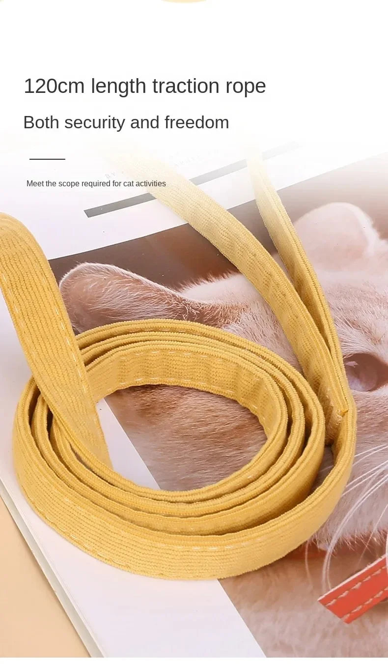 Cute Bee Pet Harness & Leash Set