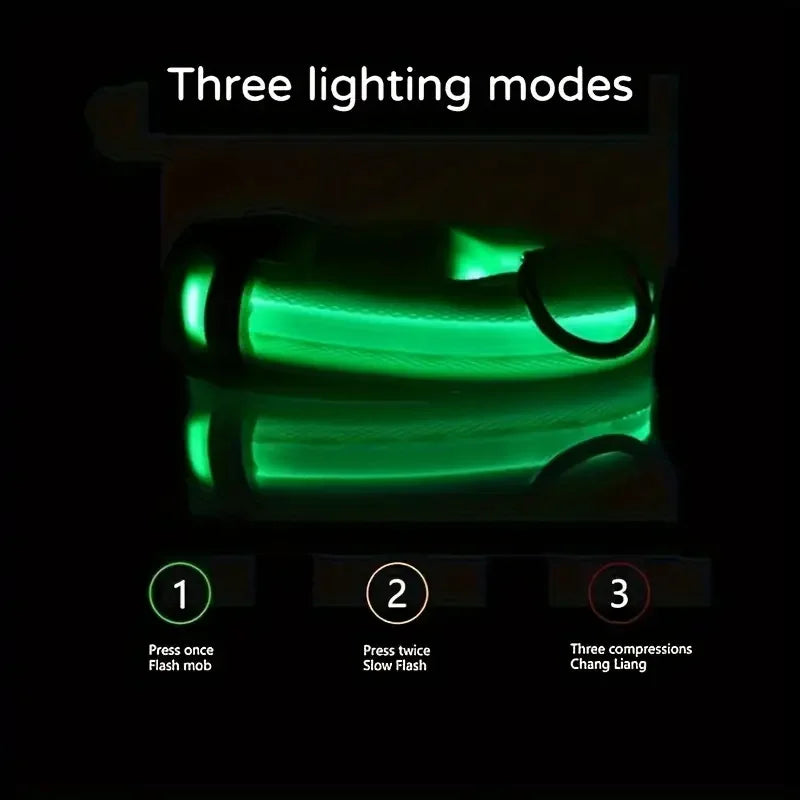 LED Night Safety Dog Leash