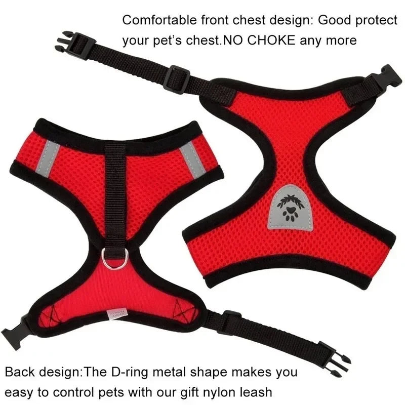 Adjustable Pet Harness & Leash Set