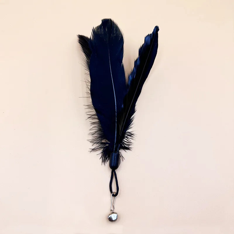 Interactive Feather Cat Teaser Pole
