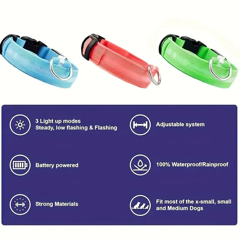 LED Night Safety Dog Leash