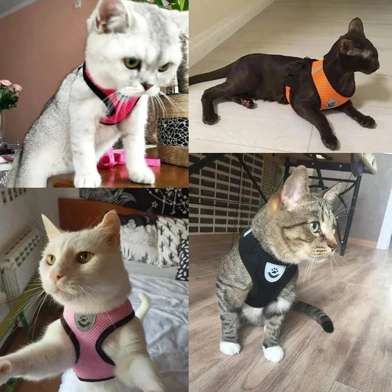 Adjustable Pet Harness & Leash Set