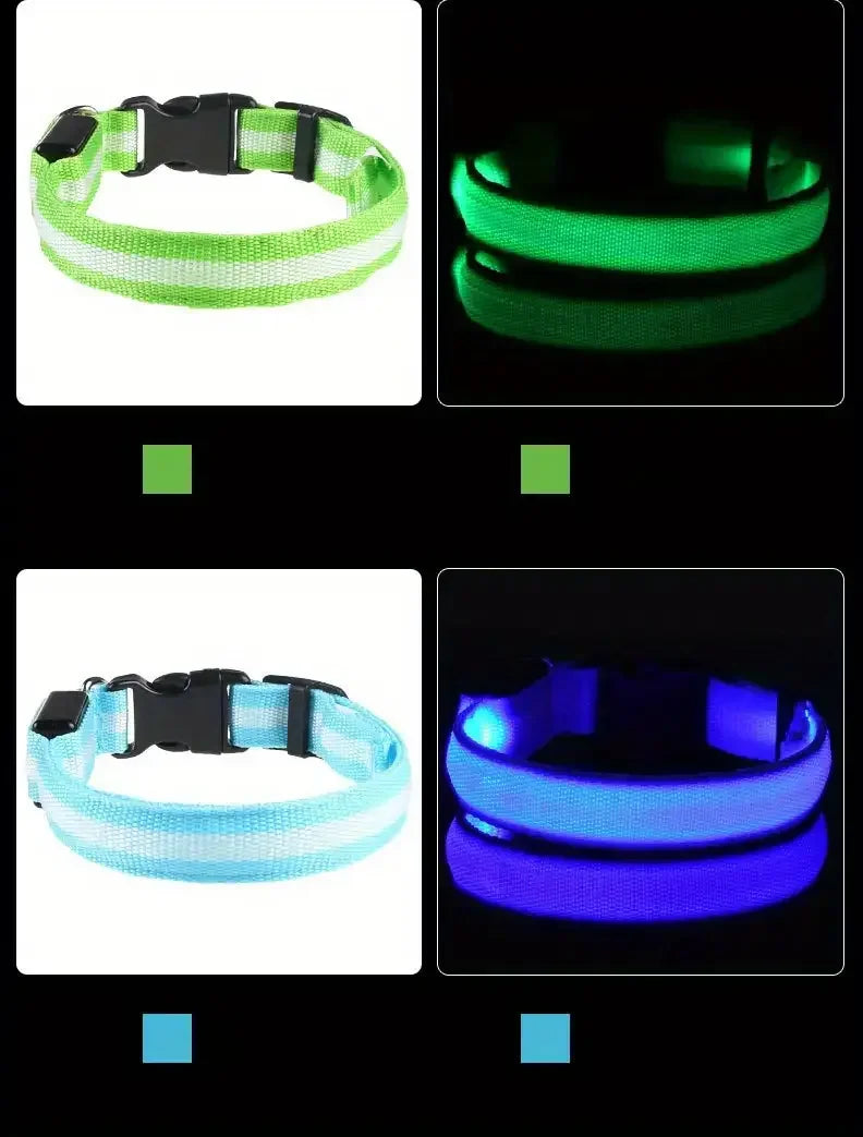 LED Night Safety Dog Leash