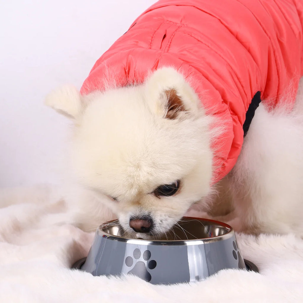 Stainless steel Non-Slip Pet Bowl