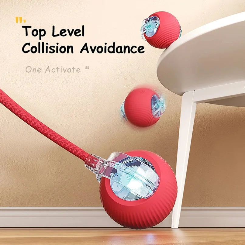 Rechargeable Interactive Cat Ball Toy