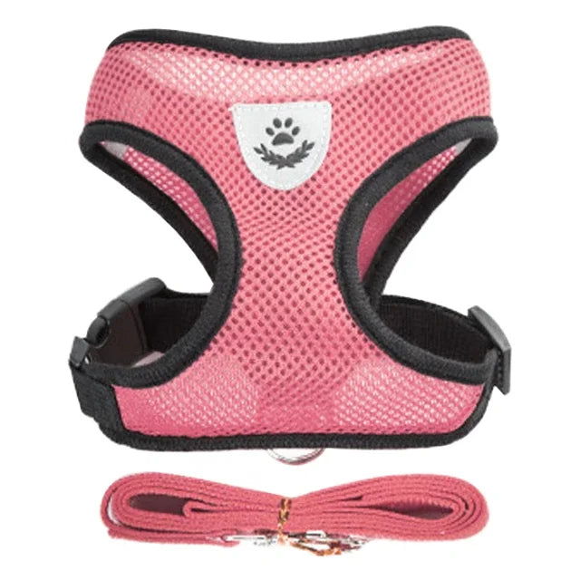 Adjustable Pet Harness & Leash Set