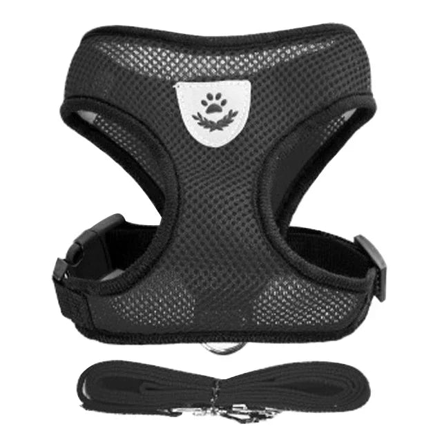 Adjustable Pet Harness & Leash Set