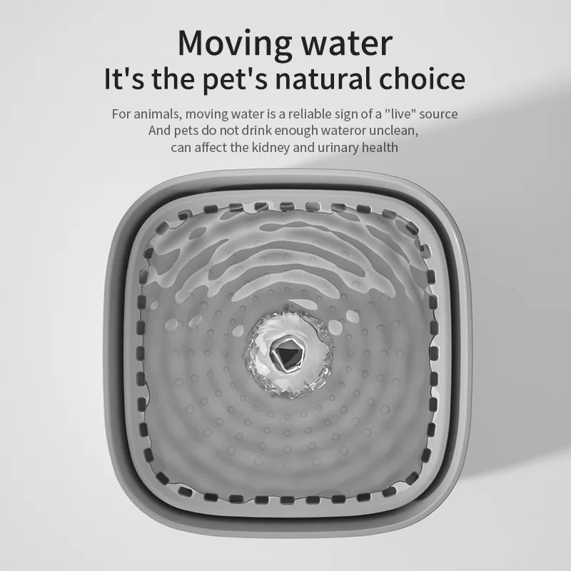 3L Pet Water Fountain