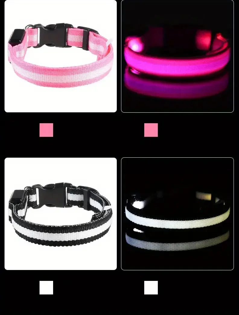 LED Night Safety Dog Leash