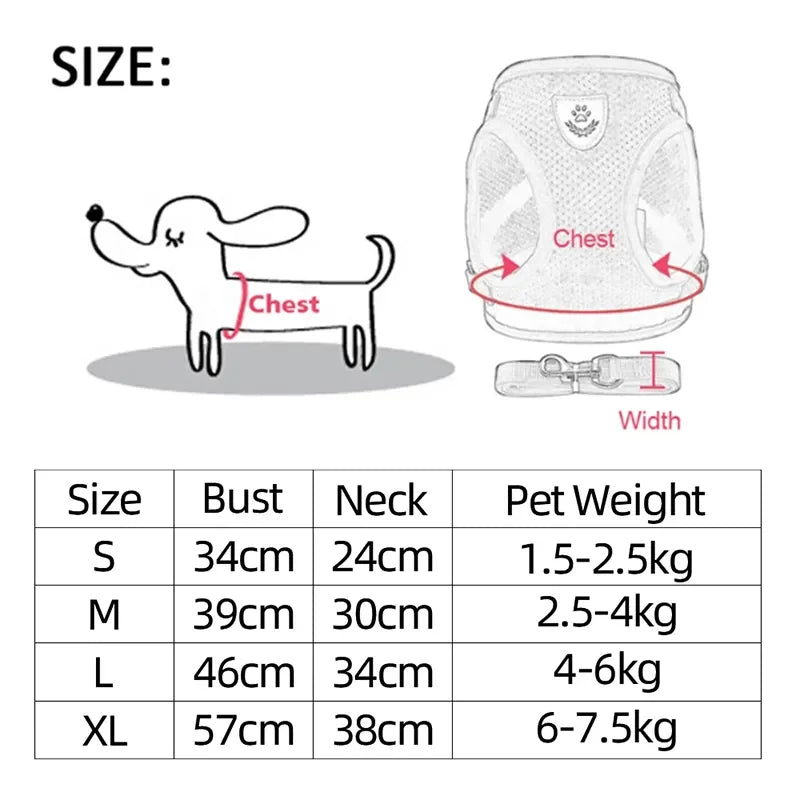 Adjustable Pet Harness & Leash Set