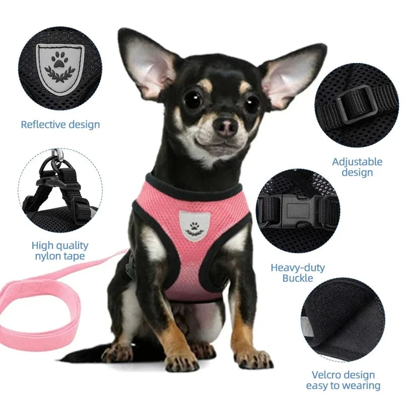 Adjustable Pet Harness & Leash Set