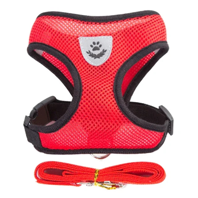 Adjustable Pet Harness & Leash Set