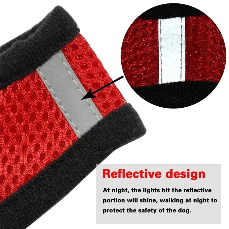 Adjustable Pet Harness & Leash Set