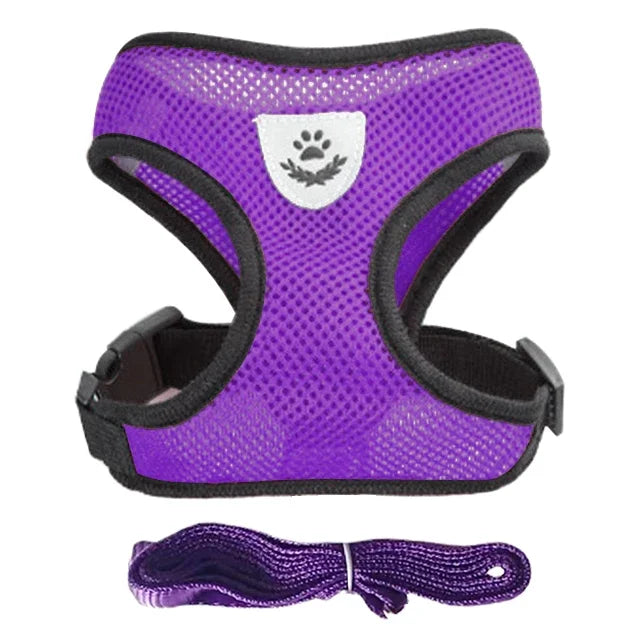 Adjustable Pet Harness & Leash Set