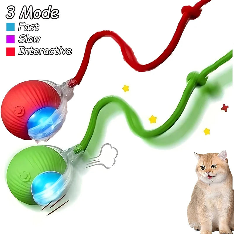 Rechargeable Interactive Cat Ball Toy