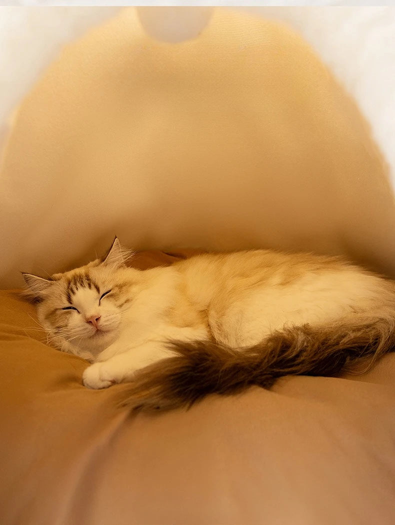 Self-Warming Cat Tent Bed