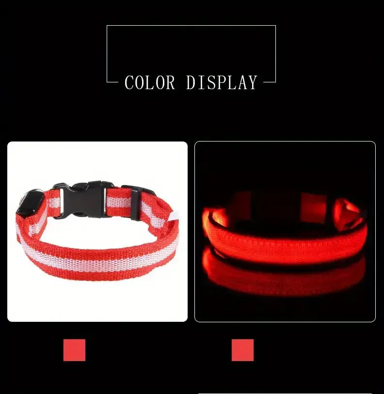 LED Night Safety Dog Leash