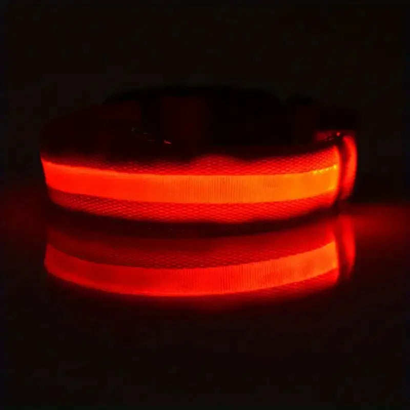 LED Night Safety Dog Leash