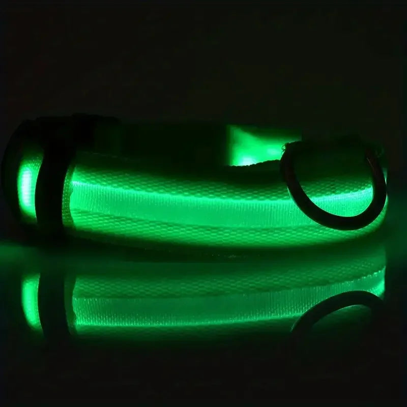 LED Night Safety Dog Leash