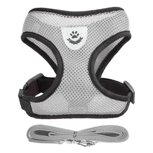 Adjustable Pet Harness & Leash Set