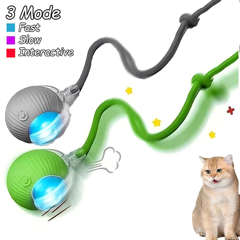 Rechargeable Interactive Cat Ball Toy