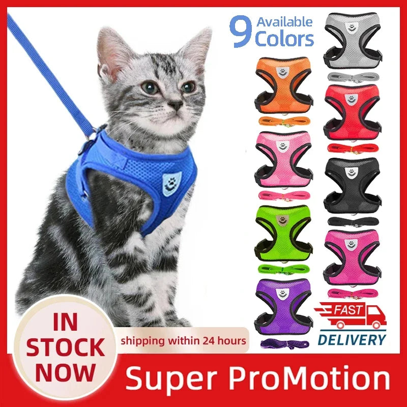Adjustable Pet Harness & Leash Set