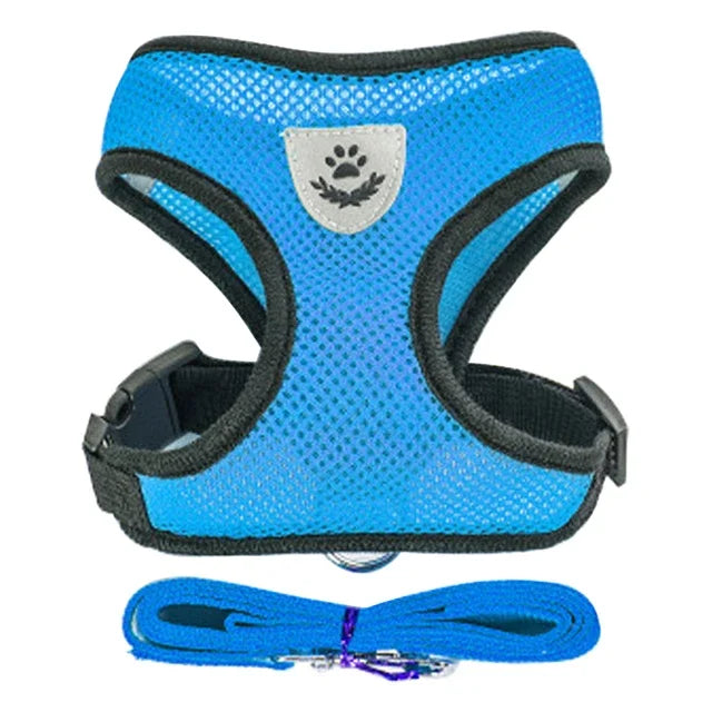 Adjustable Pet Harness & Leash Set