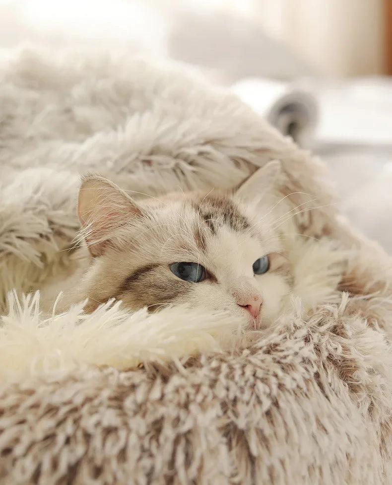 2-in-1 Autumn and Winter Plush Pet Cave Bed