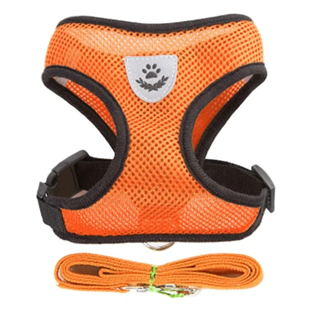 Adjustable Pet Harness & Leash Set